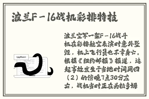 航空保姆2+1